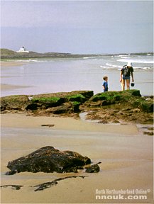 Exploring the rock pools at Bamburgh beach